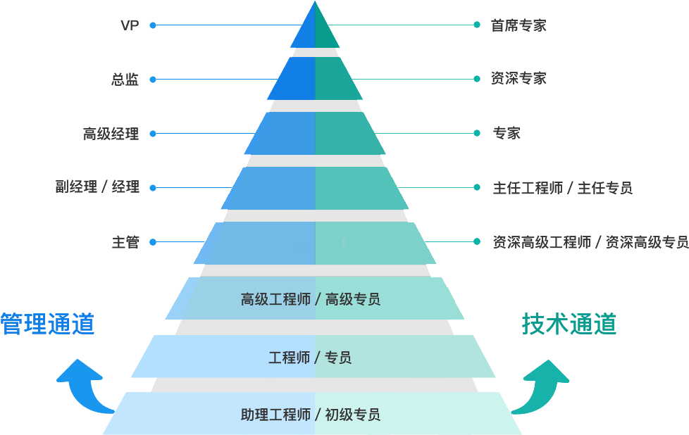 双通道发展路径